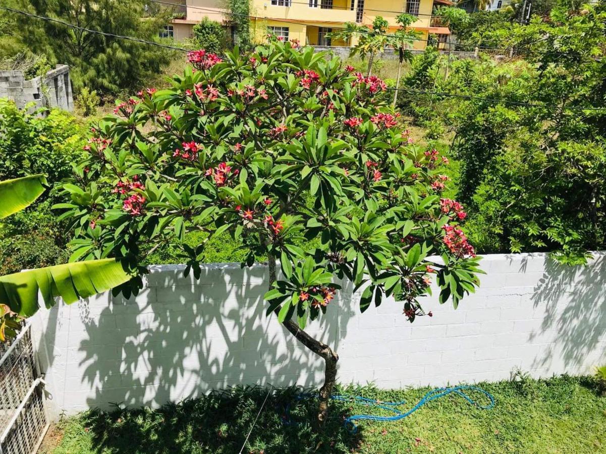 Vila Breeze Du Nord Grand Bay Exteriér fotografie